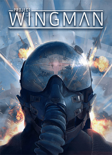 Read more about the article Project Wingman