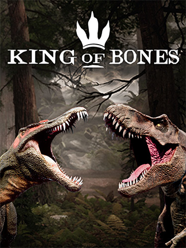Read more about the article King of Bones
